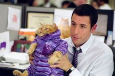 a man holding a teddy bear in an office cubicle wearing a purple shirt and tie