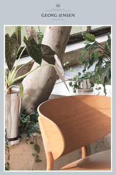 a wooden chair sitting next to a potted plant