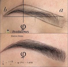 Mircoblading Eyebrows, Ombre Eyebrows, Maquillage Yeux Cut Crease, Permanente Make-up, Phi Brows, Sulam Alis, Eyebrow Design, Beauty Eyebrow, Eyebrow Makeup Tips