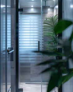 a bathroom with a glass shower door and plant in the corner on the floor next to it