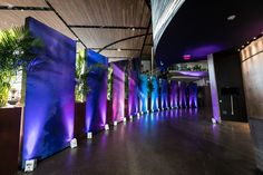 an empty lobby with blue and purple walls in the center, surrounded by potted plants