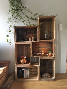 an arrangement of wooden crates with plants and books on them in a living room area