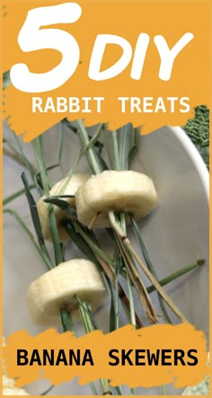 banana skewers on a white plate with the title 5 diy rabbit treats