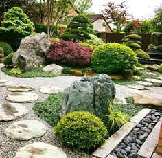 a garden with rocks and plants in it