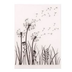 a dandelion with flying seeds in the wind on a white background framed print