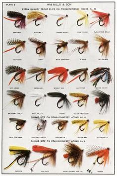 an image of different types of flies for fly fishing in the united states and canada