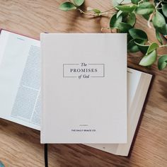 an open book sitting on top of a wooden table next to a potted plant