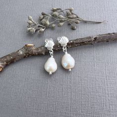 "✦These dainty earrings have seashell shaped post ear wires and lustrous white natural, real baroque teardrop shaped freshwater pearls. The pearls measure about 8mm long by 7mm wide and the posts earrings components come sterling silver.  ✦The clutch earring back is made with sterling silver clutches that are imbeded in hypoallergenic silicone stoppers, which make them tight and sturdy.  ✦Earring length is about 3/4 inches. ✦Click here to see these earrings in 14k gold filled https://www.etsy.co Pearl Drop Shell As A Gift, Elegant Nickel-free Shell Earrings, Shell-shaped Pearl Drop Earrings For Gifts, Shell-shaped Pearl Earrings For Gift, Silver Dangle Shell Earrings For Gift, Ocean-inspired Pearl Drop Earrings, Sterling Silver Shell As Gift, Shell-shaped Pearl Charm Earrings As Gift, Silver Shell-shaped Pearl Earrings For Gifts