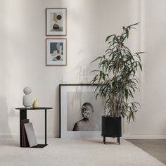 a living room with pictures on the wall and a potted plant next to it