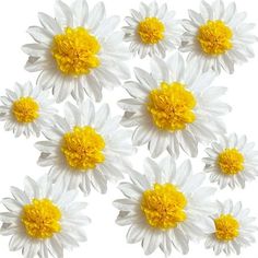 Daisy Tissue Paper Pom Poms Party Decorations White Yellow Flowers Wall Hanging Birthday Bridal Baby Shower Wedding Classroom Dcor. 12 inch 5 pcs 10 inch 5 pcs White Tissue Pom Poms Perfect for Wedding Backdrop, Bridal Shower, Engagement Party, Wedding Photo Booth, Baby Shower, Wall Decorations,Brithday Party, Nursery Decoration Size: 12" x 12". Tissue Paper Pom Poms Decoration, Flower Party Decorations, Daisy Decorations, Paper Party Decorations, Daisy Party, Tissue Pom Poms, Tissue Paper Pom Poms, Paper Pom Poms, Hanging Flower Wall