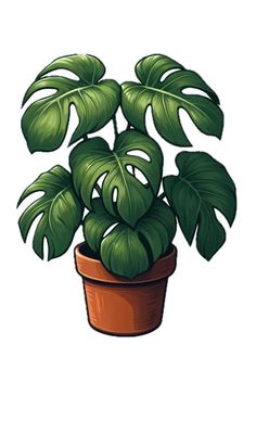 a potted plant with large green leaves on it's side, in front of a white background