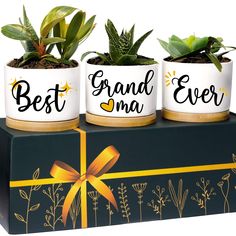 PRICES MAY VARY. 💠 Perfect Gift for Grandma: If you’re looking for sentimental gifts for grandma, grandma christmas gifts or grandma gifts for birthday, these planters make the perfect gifts for new grandma! These grandma gifts from grandchildren have cute plant pots that they will surely enjoy especially if they love small succulent plants! Best grandma announcement gifts, grandma themed gifts, & grandmother gift for mothers day! 💠 Cute Succulent Planters: These cute pots are perfect nana pre Cute Plant Pots, Best Boss Gifts, Cute Pots, Gifts For New Grandma, Boss Birthday Gift, Boss Lady Gifts, Small Succulent Plants, Bonus Mom Gifts, New Teacher Gifts