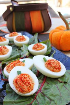 deviled eggs on leafy greens with pumpkins in the background