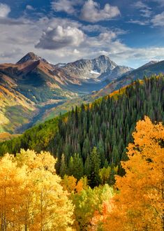 the mountains are covered with trees and yellow leaves in fall colors, as well as snow capped peaks