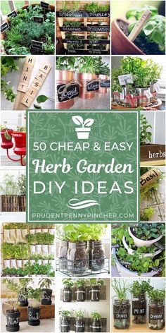 herb garden diy ideas that are easy and cheap