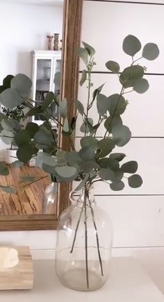 a vase filled with water and greenery on top of a table next to a mirror