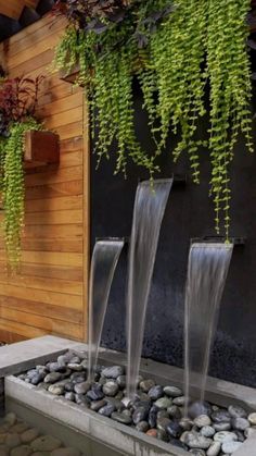 three water fountains in front of a wooden wall with plants hanging from it's sides