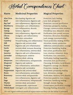 Magickal Correspondences, Grimoire Book, Magic Spell Book, Under Your Spell