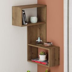 two wooden shelves on the wall with books and other items in them next to a potted plant