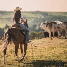 a woman riding on the back of a brown horse next to cows in a field