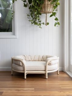 a white couch sitting on top of a hard wood floor next to a potted plant