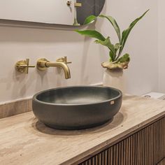 a bathroom sink sitting on top of a wooden counter next to a mirror and potted plant