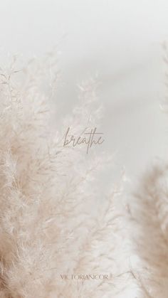 the words breathe are written in cursive writing on top of fluffy white feathers