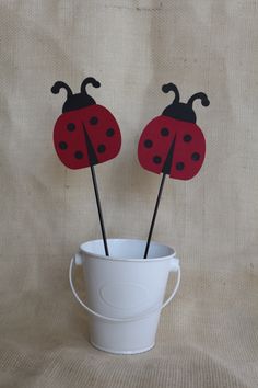 two red ladybugs sitting on top of each other in a bucket