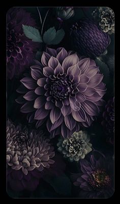 a bunch of flowers that are on a black background with purple and green leaves in the middle