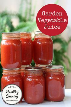 four jars filled with tomato sauce sitting on top of a table next to a potted plant