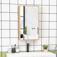 a bathroom sink with a mirror above it and a plant on the counter next to it