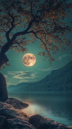 a full moon is seen over the water with rocks and trees in front of it