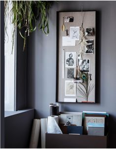 a plant hangs on the wall next to a framed photograph and other items in front of it