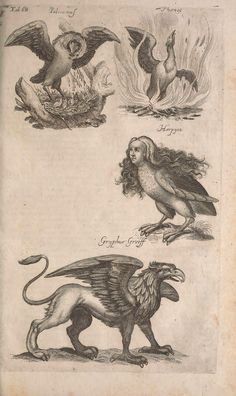 four different types of birds and animals on a white paper with black writing in the center