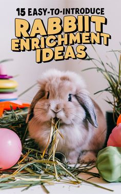 a rabbit eating hay in front of some easter eggs and grass with the title, 15 easy - to - introduce rabbit enrichment ideas