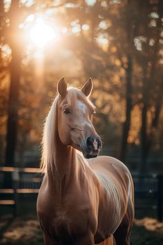 a brown horse standing on top of a lush green field