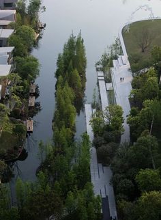 an aerial view of trees, water and buildings