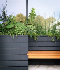 a wooden bench sitting next to a black wall with plants growing on top of it