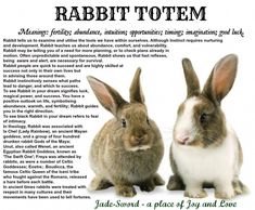 two rabbits sitting next to each other with the caption rabbit totem written below