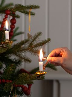 someone lighting candles in front of a christmas tree