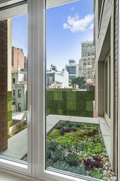 an open window with plants and rocks in it