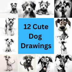 12 cute dog drawings are featured in this series of photoshopped images with the words, 12 cute dog drawings