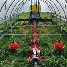 the inside of a greenhouse with several red pots in it