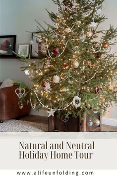 Fresh Christmas TreeDecorated for the Holidays Neutral Holiday Decor, Live Christmas Trees, Mini Tree, Live Tree, Christmas Tree Garland