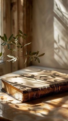 a book sitting on top of a table next to a plant