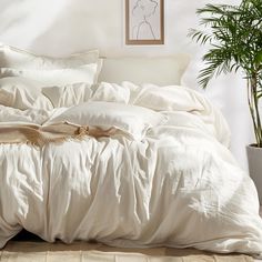 an unmade bed with white sheets and pillows in a room next to a potted plant