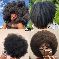 Mushroom Bob, 2024 Hair Trends For Women, 2024 Hair Trends, Really Curly Hair, Cabello Afro Natural, Natural Afro, Quick Natural Hair Styles, Natural Afro Hairstyles