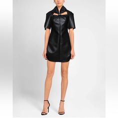 Ellery Faux-Leather Dress Size 4 Ellery Dress, Faux Leather Dress, Leather Dress, Black Silver, Size 4, Faux Leather, Womens Dresses, Silver, Leather