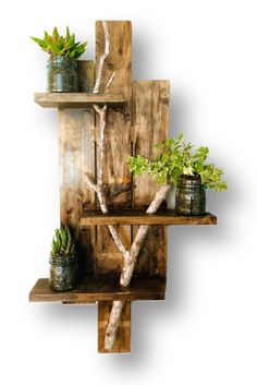 three wooden shelves with plants on them