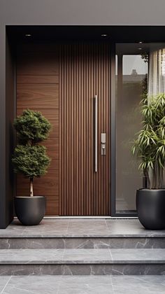 two potted plants sitting on the side of a building next to a wooden door